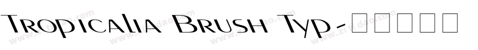 Tropicalia Brush Typ字体转换